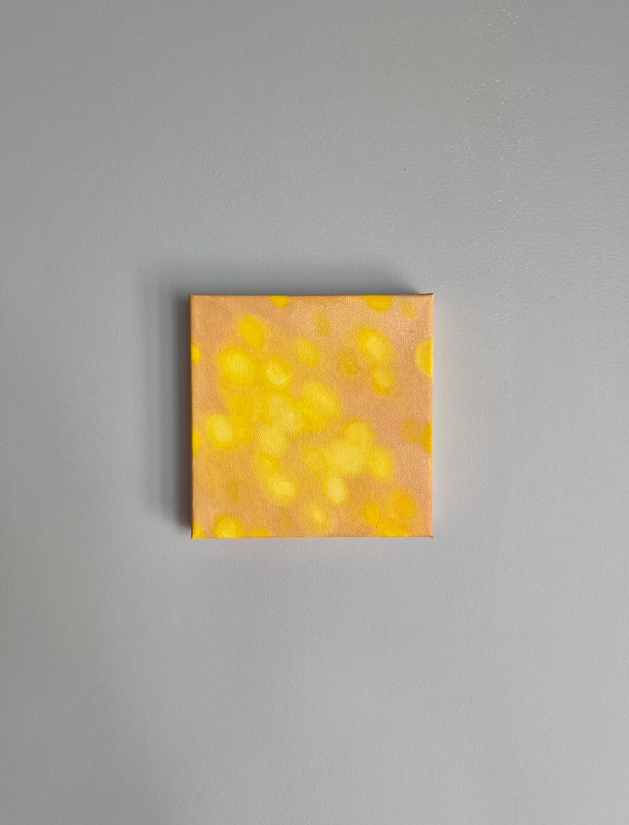 Pink Sunspots (mini) by Mary Royall Wilgis