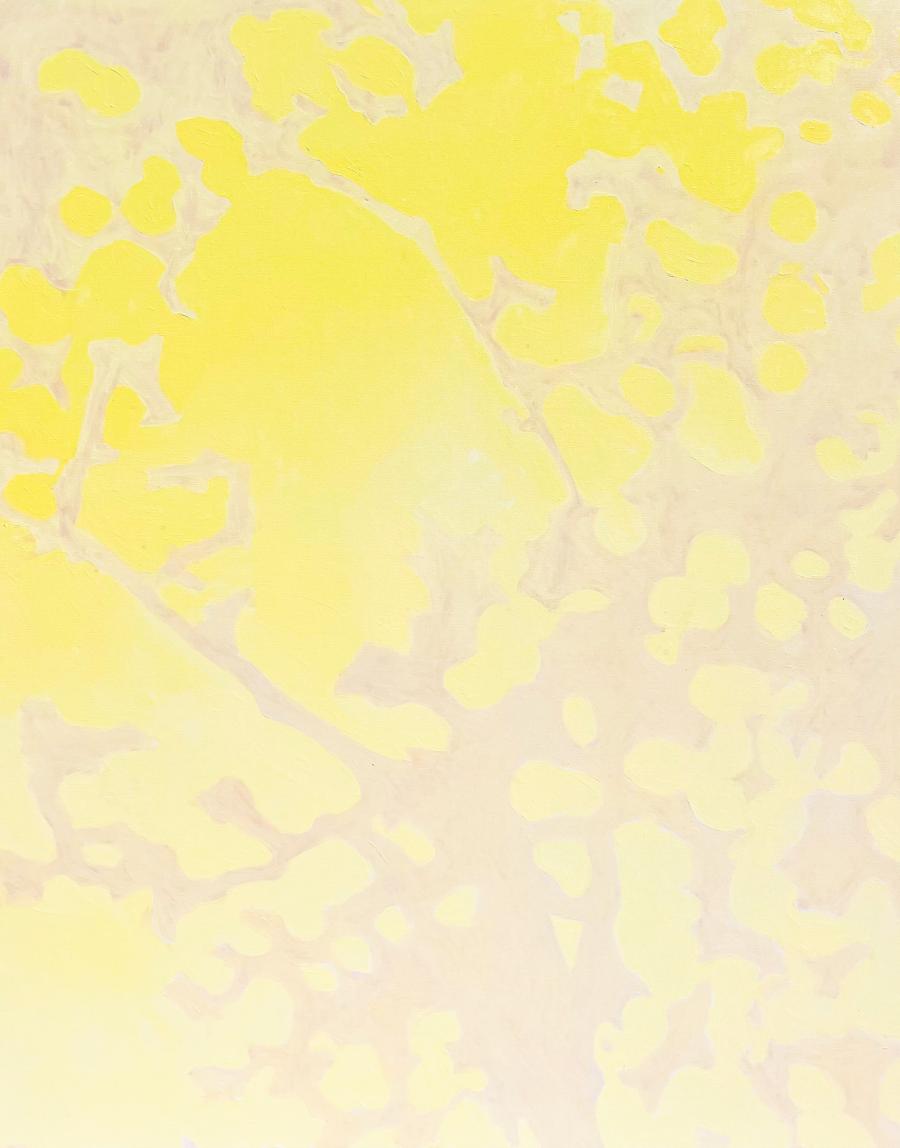Veins of light by Mary Royall Wilgis