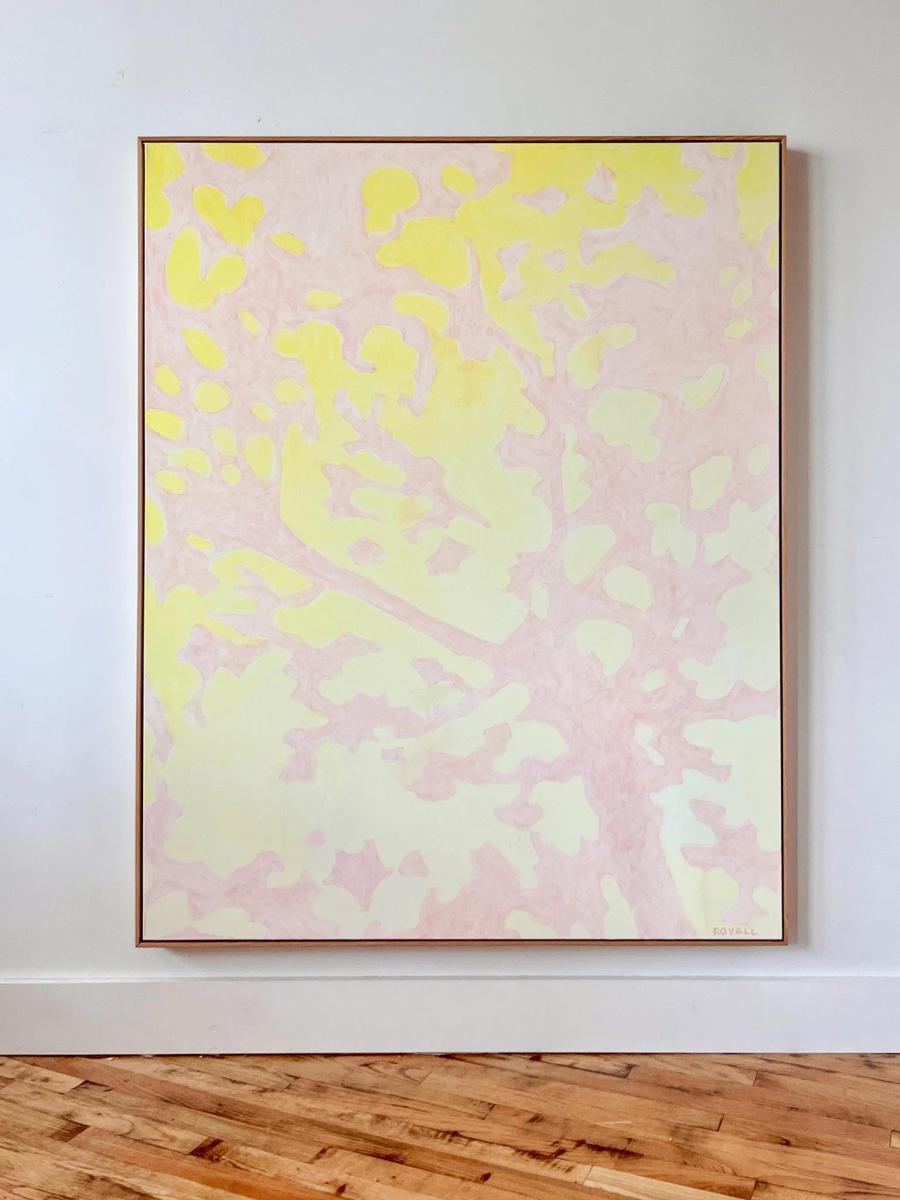 The Shape of Light by Mary Royall Wilgis