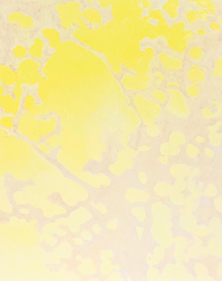 Veins of light by Mary Royall Wilgis