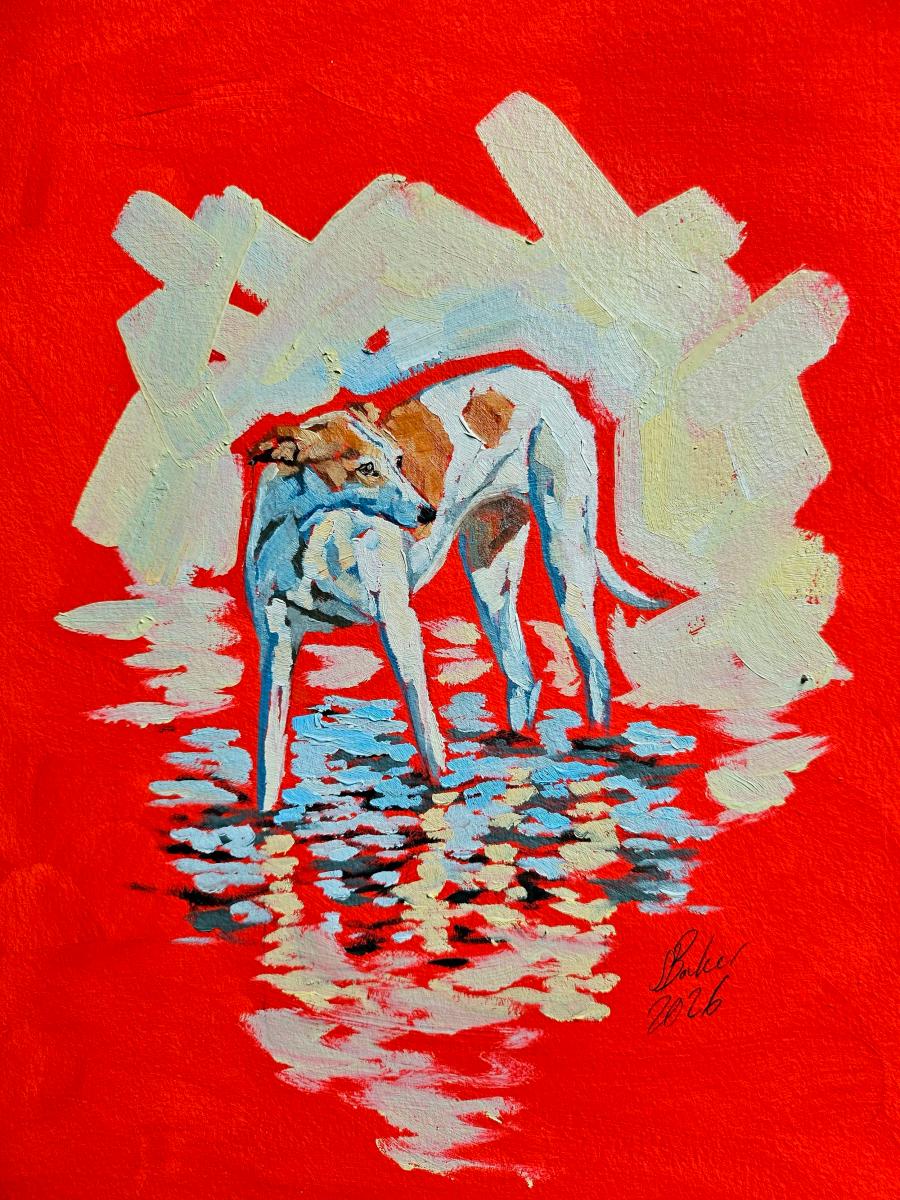 Going for a Paddle' by Sylvie Baker