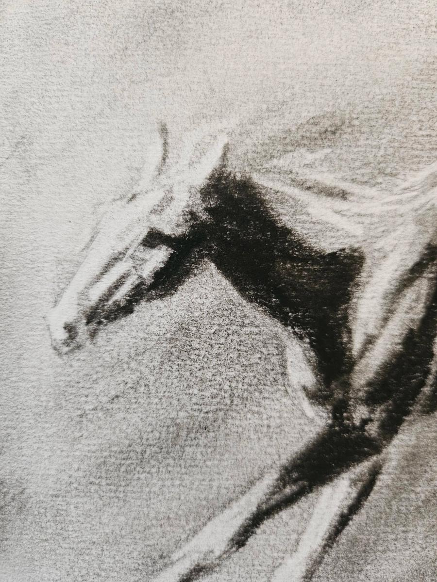 Charcoal Horse by Sylvie Baker
