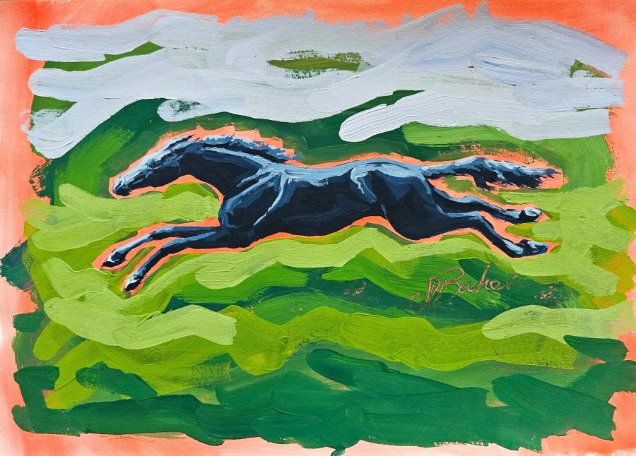 The Stretch by Sylvie Baker