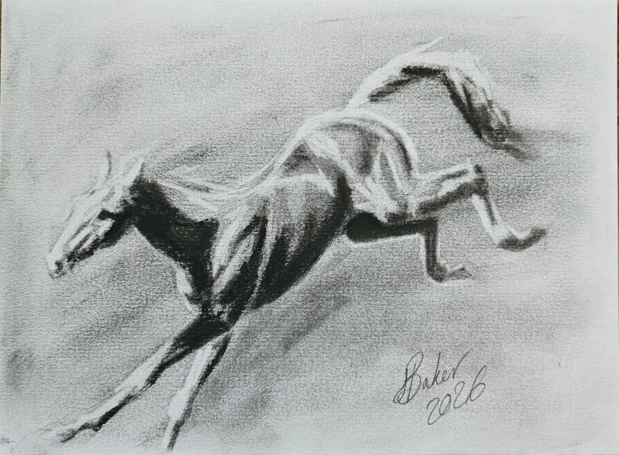 Charcoal Horse by Sylvie Baker