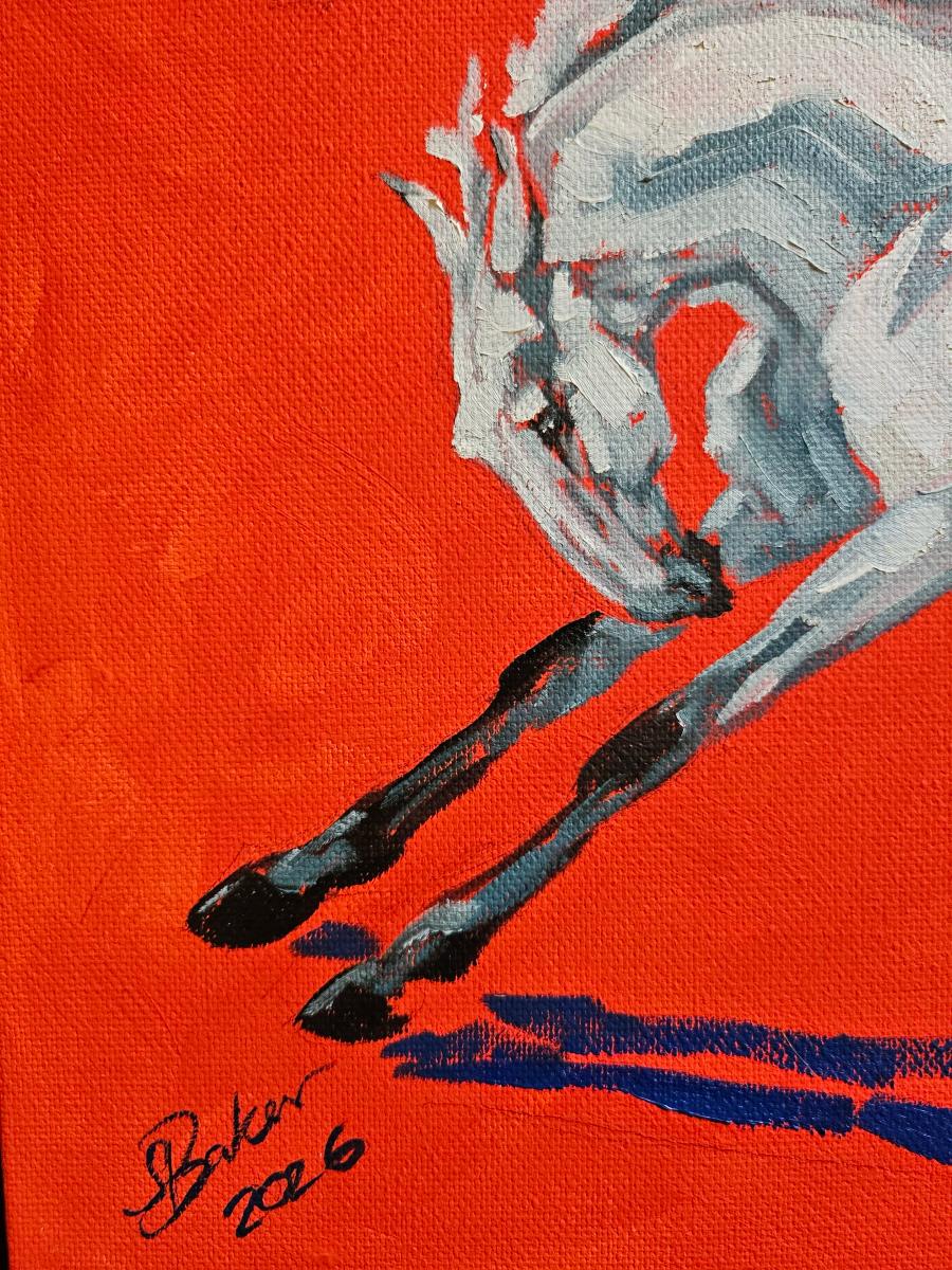 Leaps and Bounds by Sylvie Baker