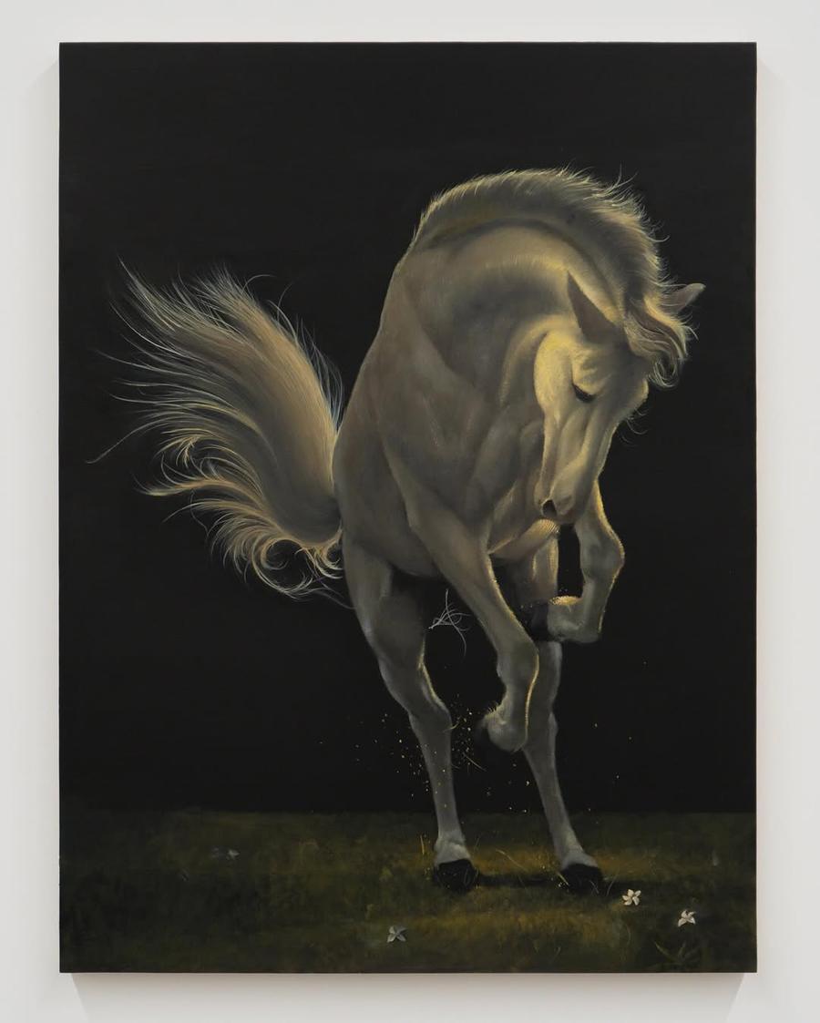 A Horse Named Fate by Caleb Hahne Quintana