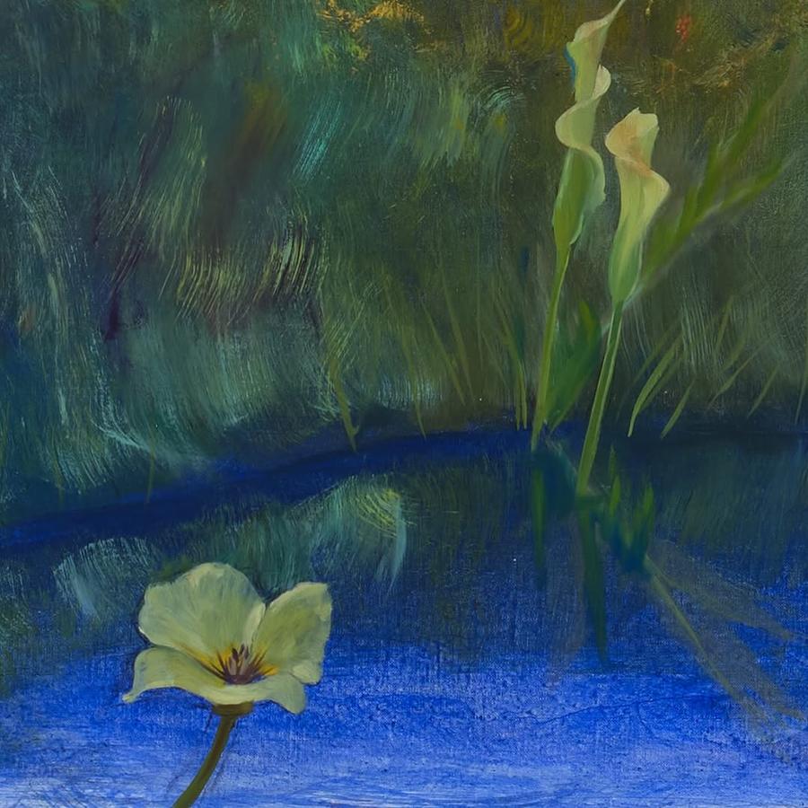 Who Remembers When No One Is Asking (La Tierra Amarilla) by Caleb Hahne Quintana